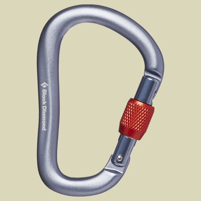 Black Diamond RockLock Screwgate Carabiner Farbe gray Neu Im Sortiment